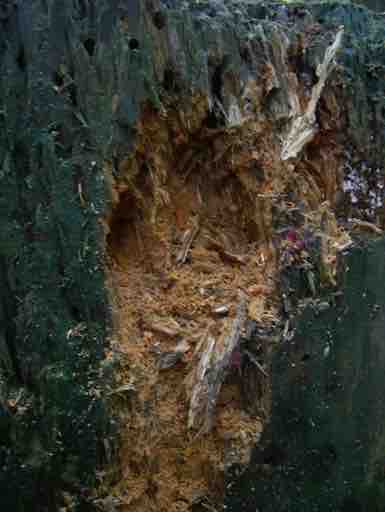 Galerie 1 – Bild 4