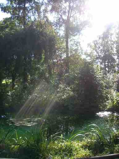 Galerie 1 – Bild 7