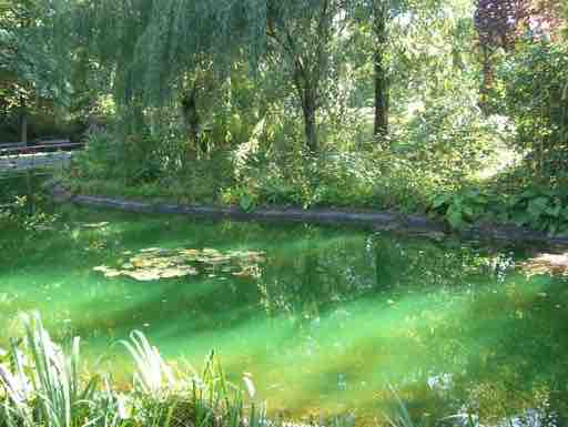 Galerie 1 – Bild 8