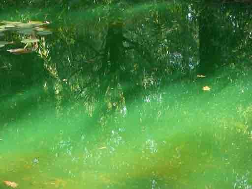 Galerie 1 – Bild 9