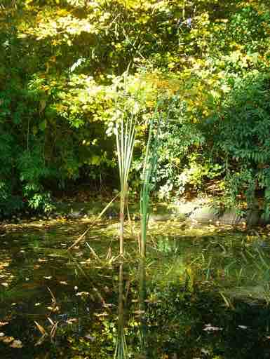 Galerie 1 – Bild 10