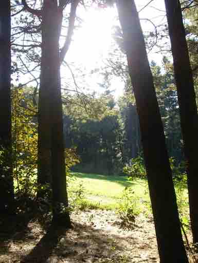 Galerie 1 – Bild 20