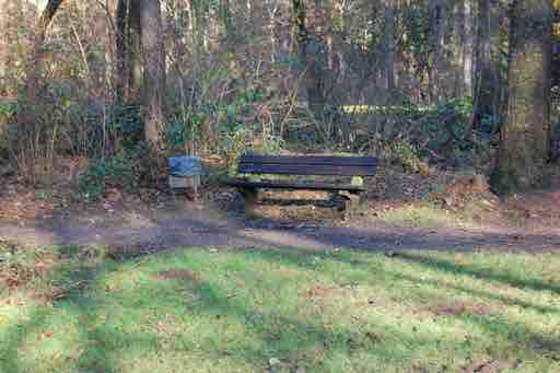Galerie 3 – Bild 1