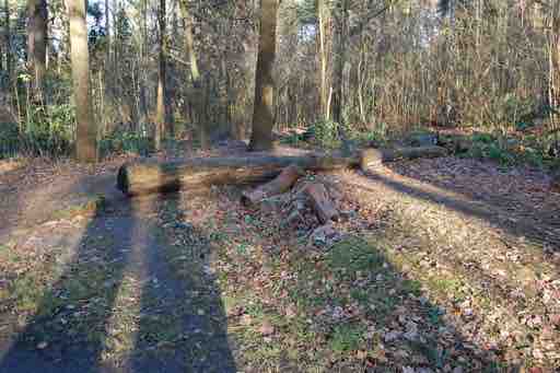Galerie 3 – Bild 3