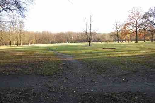 Galerie 3 – Bild 5
