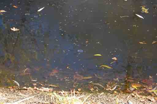 Galerie 3 – Bild 9