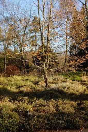 Galerie 3 – Bild 10