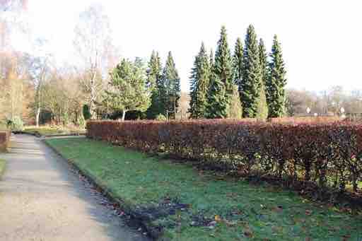 Galerie 3 – Bild 12